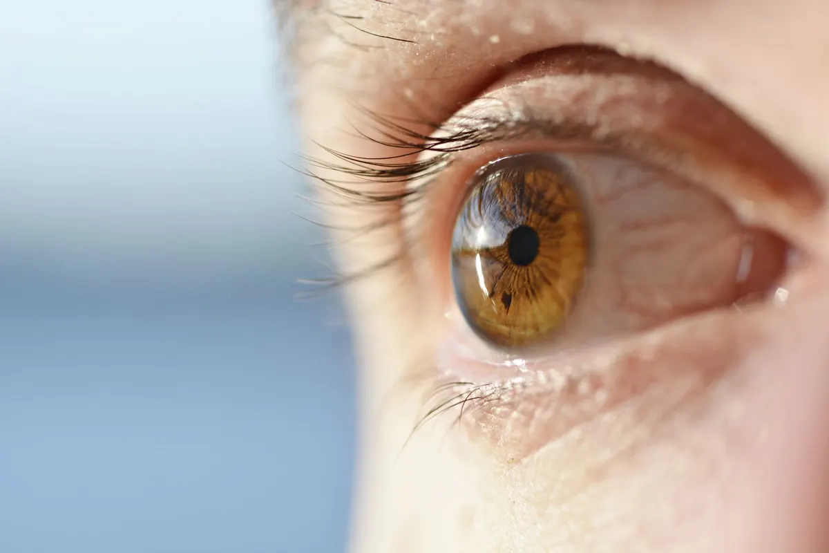 Detailed close-up photo of a brown eye showcasing intricate details of the iris and eyelashes.